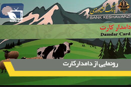 تسهیلات با ضمانت زنجیره ای دامداران