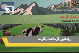 تسهیلات با ضمانت زنجیره ای دامداران