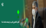 نقش کشاورزپلاس در توسعه سلامت غذا