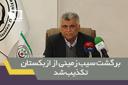 گواهی نخل های صادراتی دستکاری شده است/ برگشت سیب زمینی از ازبکستان تکذیب شد