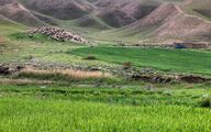 ۲۶ ایستگاه تولید بذر مرتعی در کشور فعال می شود