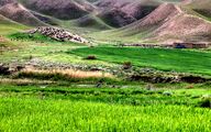 ۲۶ ایستگاه تولید بذر مرتعی در کشور فعال می شود