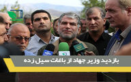بازدید وزیر جهاد از باغات سیل زده