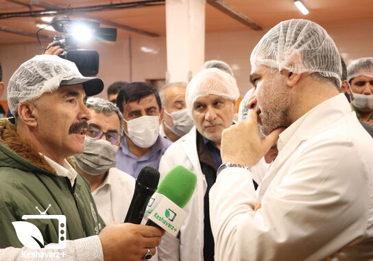 گالری