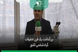 معرفی بخش تحقیقات بیماری های گیاهی 