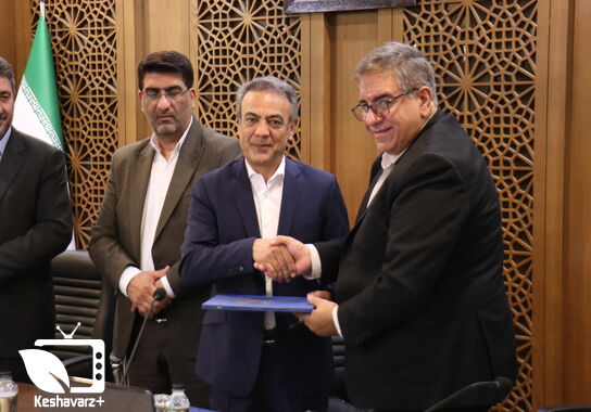 گالری