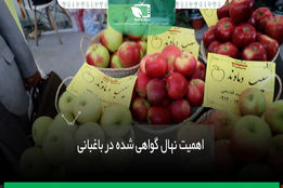 اهمیت نهال گواهی شده در باغبانی