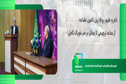 دام و طیور روی ریل تامین نهاده ، از حذف ترجیهی تا جدال بر سر خوراک کامل