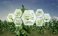 پویش ملی برای تحول کشاورزی ایران؛ فرصتی طلایی برای ایده‌پردازان و متخصصان