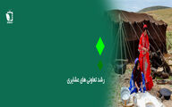 رشد تعاونی های عشایری