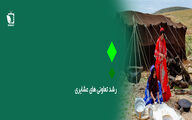 رشد تعاونی های عشایری