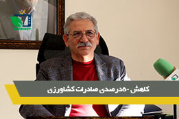 کاهش 50درصدی صادرات کشاورزی