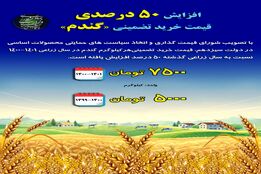 افزایش ۵۰ درصدی قیمت خرید تضمینی گندم در دولت سیزدهم