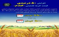 افزایش ۵۰ درصدی قیمت خرید تضمینی گندم در دولت سیزدهم