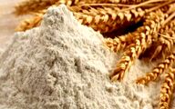 آرد کامل در مسیر تثبیت جایگاه ملی قرار دارد