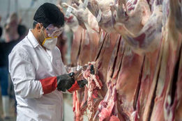 واکنش به تسهیل واردات گوشت های مشکل دار