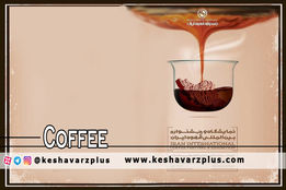 گزارش اختصاصی کشاورز پلاس از نمایشگاه و جشنواره بین المللی قهوه ایران