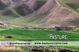 مقاومت دستگاه‌های اجرایی برای اصلاح قوانین واگذاری مرتع