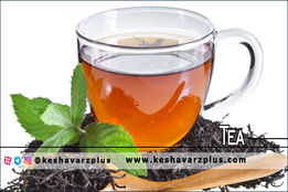 حذف ارز ۴۲۰۰ تومانی را با کاهش تعرفه نمیشود جبران کرد/ چای ۱۲۰ هزار تومانی از چه منطقی پیروی می کند