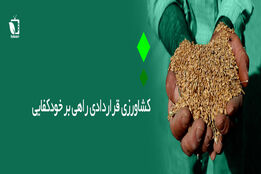 کشاورزی قردادی راهی برای خودکفایی