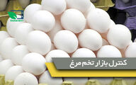 وزیر جهاد کشاورزی: برای کنترل و برقراری آرامش در بازار تخم مرغ در تلاش هستیم