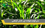 هشتمین کاروان ترویجی ارتقای بهروری کشاورزی