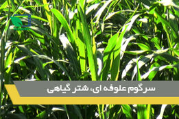هشتمین کاروان ترویجی ارتقای بهروری کشاورزی
