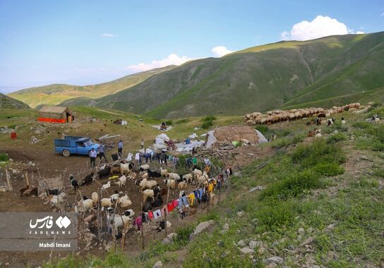 گالری
