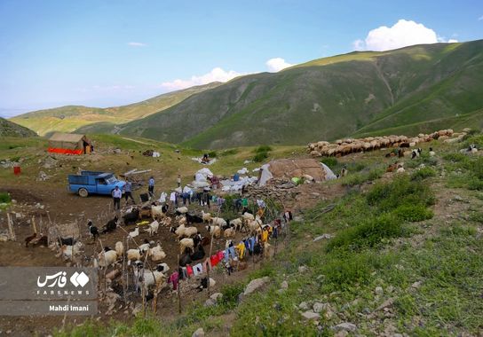 گالری