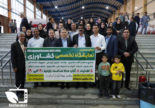 گالری
