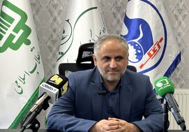  صادرات جوجه یک‌روزه پشت سد بروکراسی