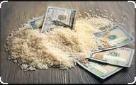 بازار برنج در مسیر کاهش قیمت؛ واقعیت‌ها و ناگفته‌ها