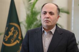اعلام آمادگی ایران برای مشارکت در امنیت غذایی جهانی و پیشرفت روستایی