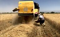 ضایعات ۸ محصول زراعی و باغی تا ۲ ماه آینده اعلام می‌شود
