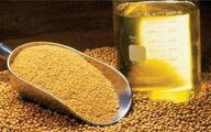 قیمت ارزی انواع غلات، روغن خام و دانه های روغنی اعلام شد
