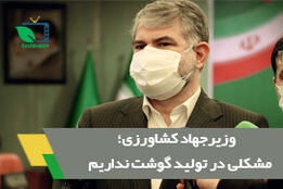 مشکلی در تامین گوشت قرمز نداریم