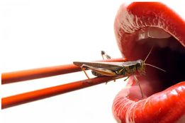 ایده خوردن حشرات به جای گوشت شکست خورد!