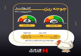 آمار جوجه ریزی اردیبهشت ماه
