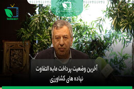 آخرین وضعیت پرداخت مابه التفاوت نهاده های کشاورزی