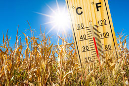 اطلاعیه ترویجی برای کشاورزان درباره هشدار موج جدید گرما
