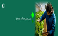 کنترل و مبارزه با آفات گلخانه ای