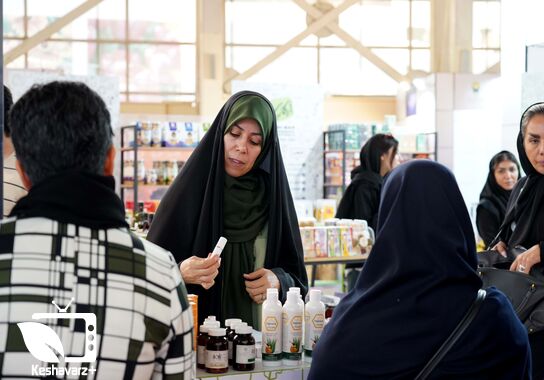 گالری