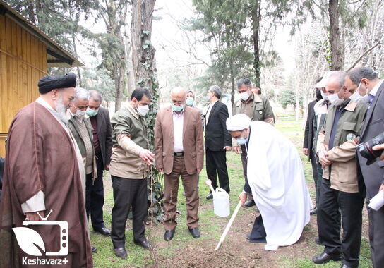 گالری