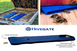 نوآوری برای سلامت زنبورها؛ «HiveGate» راهی تازه در طراحی ورودی کندو