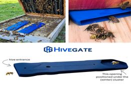 نوآوری برای سلامت زنبورها؛ «HiveGate» راهی تازه در طراحی ورودی کندو