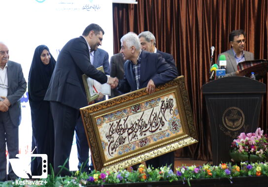 گالری