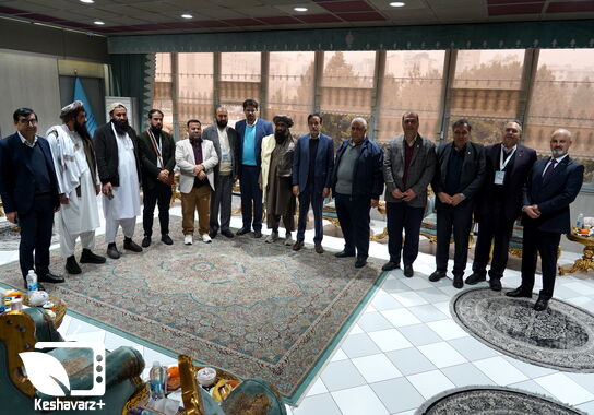 گالری
