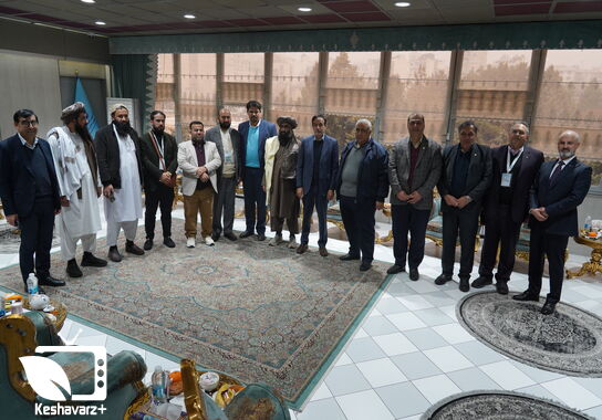 گالری