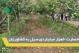 خسارت 10هزار میلیاردی سیل به کشاورزان