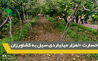خسارت 10هزار میلیاردی سیل به کشاورزان